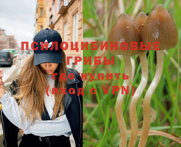 тгк Абаза