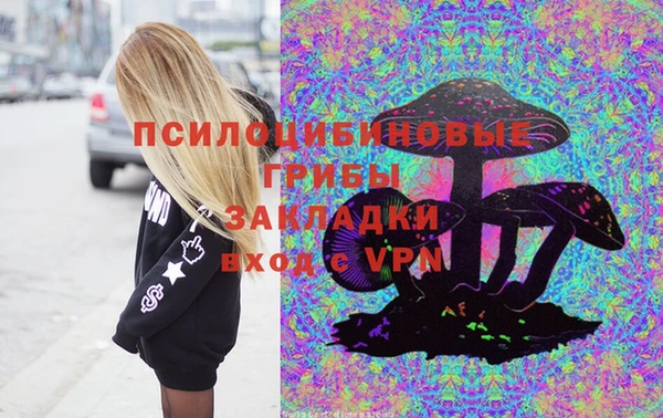 тгк Абаза