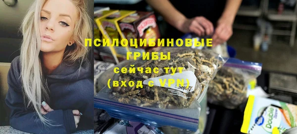 тгк Абаза